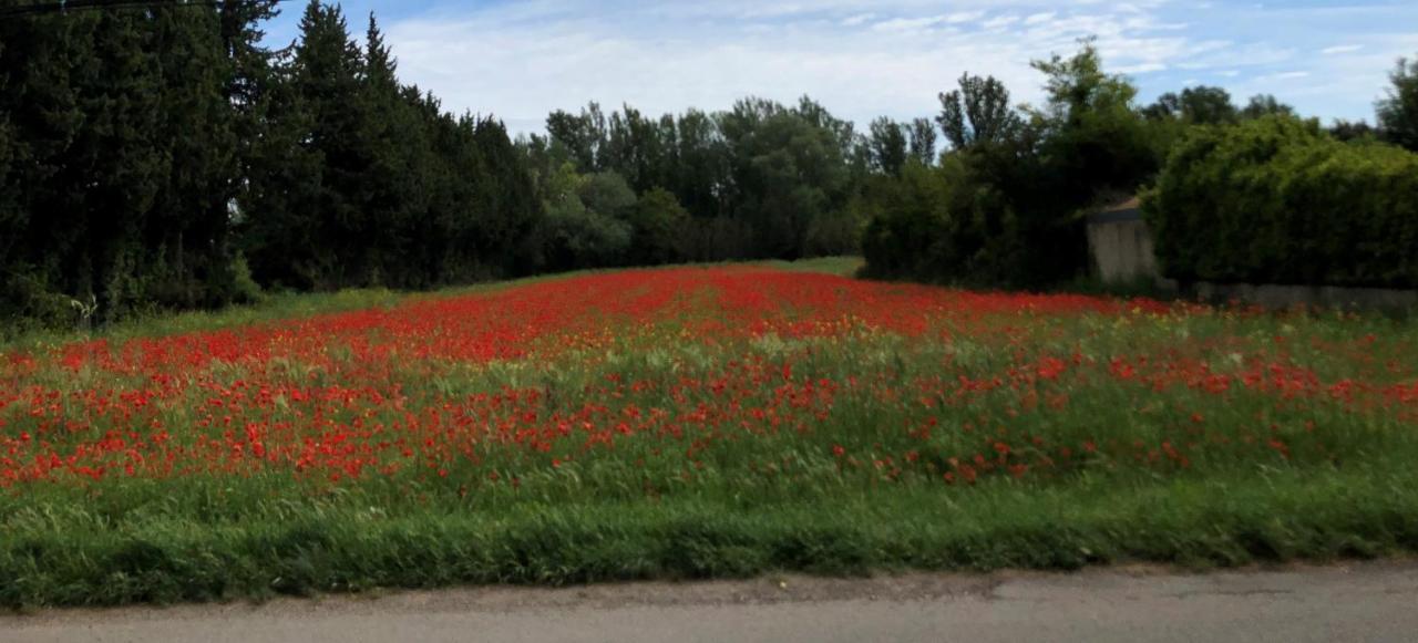 Le Mas Des Flaneraies Althen-des-Paluds Exterior foto